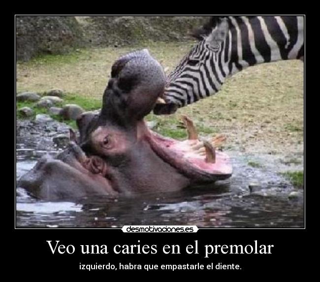 Veo una caries en el premolar -