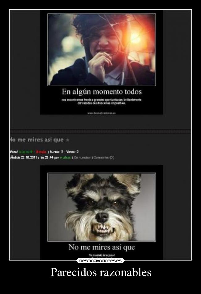 Parecidos razonables - 