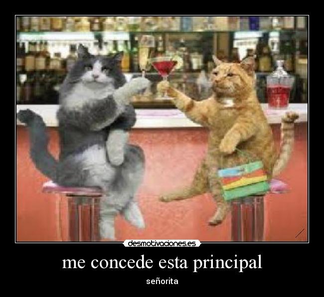 me concede esta principal - señorita