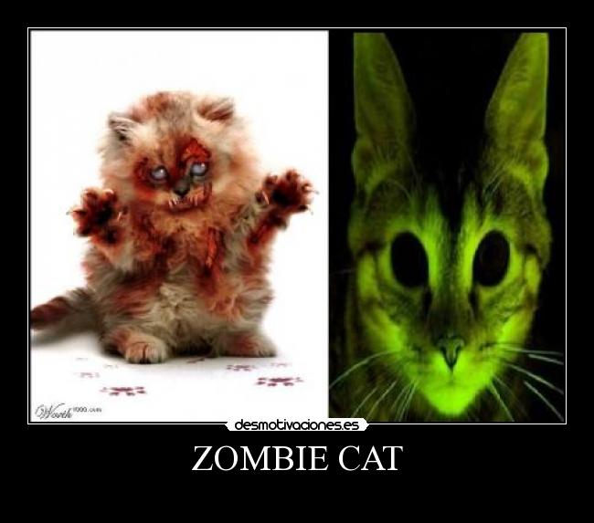 ZOMBIE CAT -