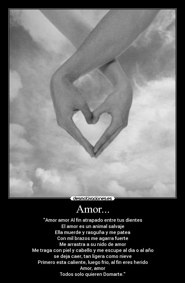 Amor... - Amor amor Al fin atrapado entre tus dientes
El amor es un animal salvaje
Ella muerde y rasguña y me patea
Con mil brazos me agarra fuerte
Me arrastra a su nido de amor
Me traga con piel y cabello y me escupe al dia o al año
se deja caer, tan ligera como nieve
Primero esta caliente, luego frio, al fin eres herido
Amor, amor
Todos solo quieren Domarte.