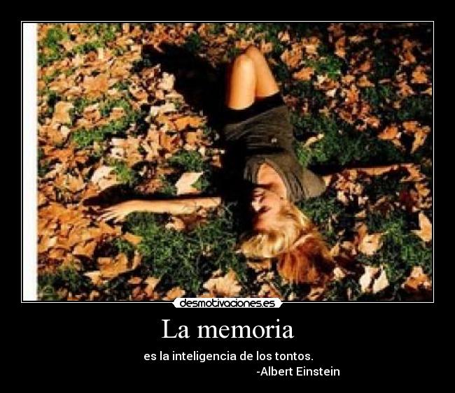 La memoria - es la inteligencia de los tontos.
                                                  -Albert Einstein