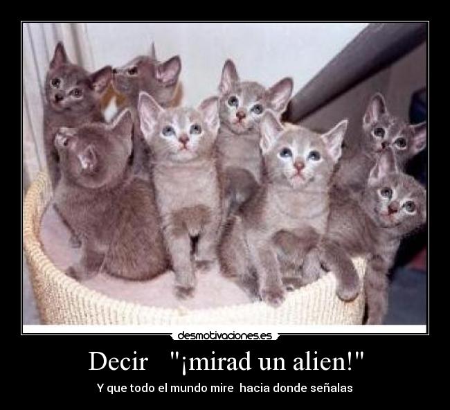 Decir ¡mirad un alien! - Y que todo el mundo mire hacia donde señalas