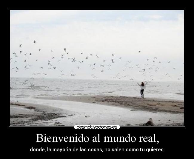 Bienvenido al mundo real, - donde, la mayoria de las cosas, no salen como tu quieres.