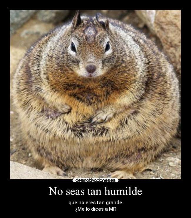 carteles seas tan humilde desmotivaciones