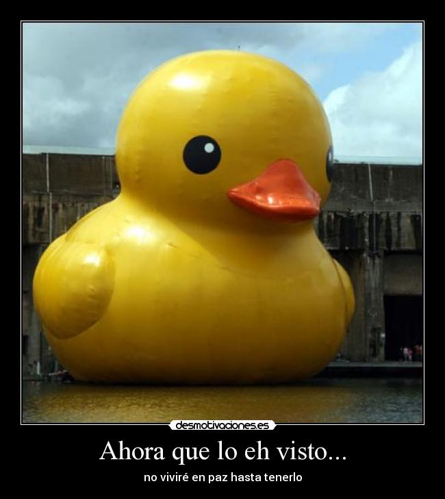 Ahora que lo eh visto... - 