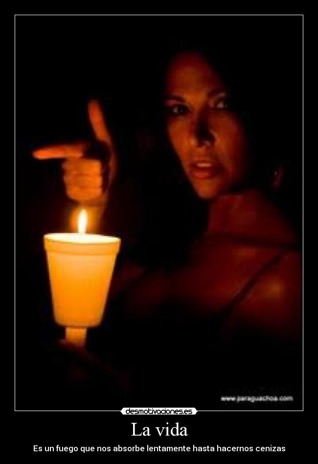 La vida - 