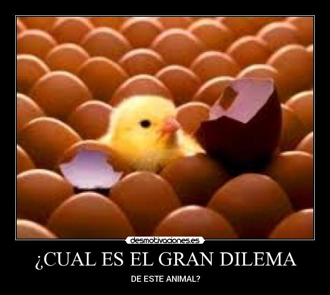 ¿CUAL ES EL GRAN DILEMA - 
