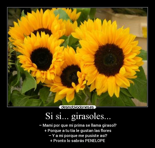 Si si... girasoles... - – Mami por que mi prima se llama girasol?
+ Porque a tu tía le gustan las flores
– Y a mi porque me pusiste así?
+ Pronto lo sabrás PENELOPE