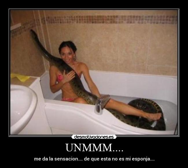 UNMMM.... - me da la sensacion.... de que esta no es mi esponja....