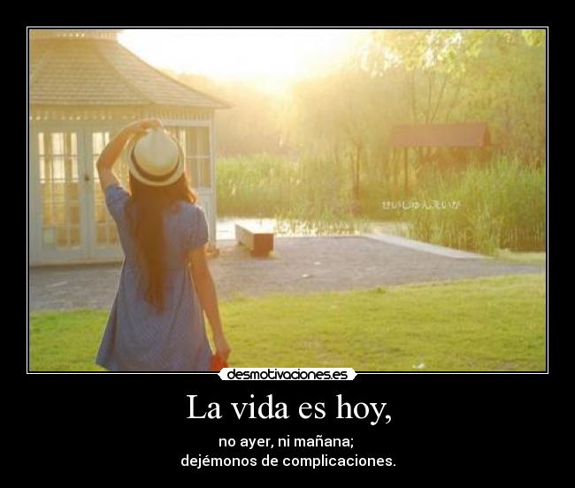 carteles vida vida hoy desmotivaciones