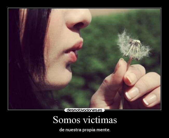 Somos victimas - 