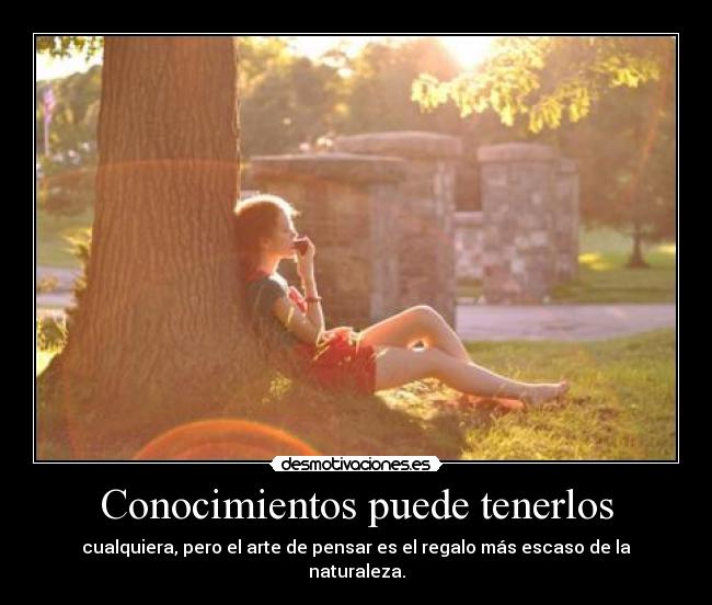 carteles tengo idea que etiqueta poner desmotivaciones