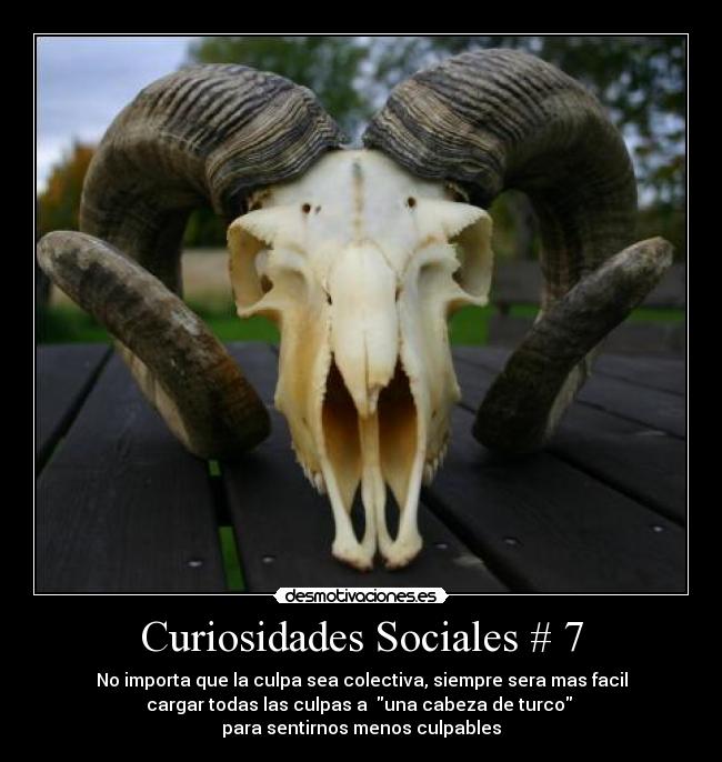 Curiosidades Sociales # 7 -