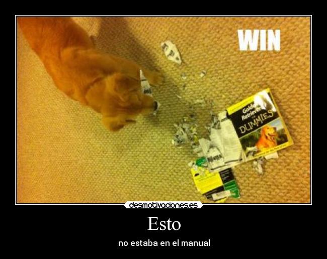 Esto - no estaba en el manual