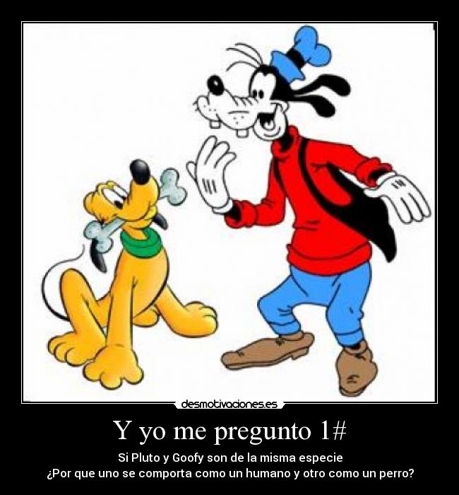 Y yo me pregunto 1# -