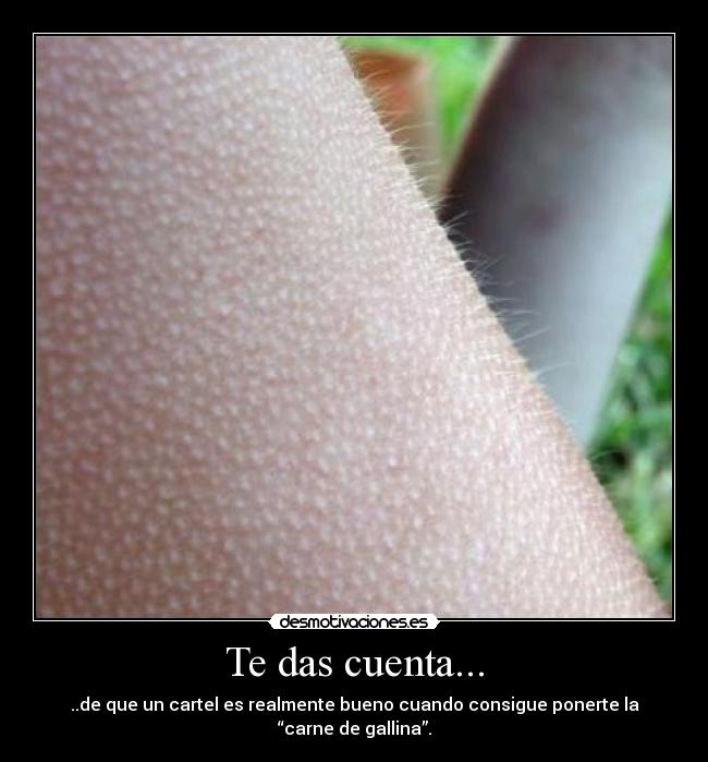 Te das cuenta... - ..de que un cartel es realmente bueno cuando consigue ponerte la “carne de gallina”.