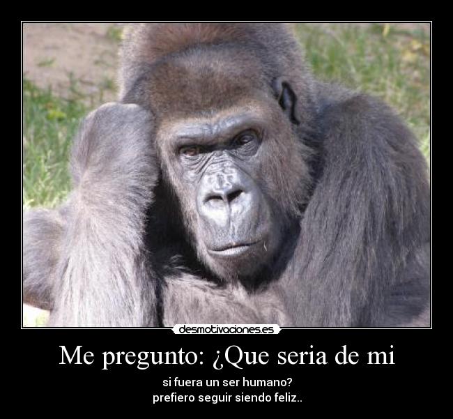 carteles alejandropaolojarazamora desmotivaciones