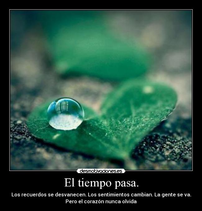 El tiempo pasa. - Los recuerdos se desvanecen. Los sentimientos cambian. La gente se va.
Pero el corazón nunca olvida