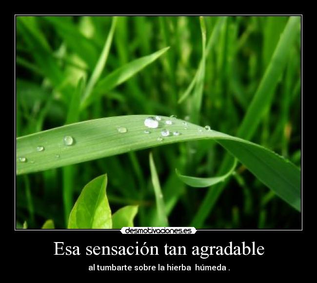 Esa sensación tan agradable -