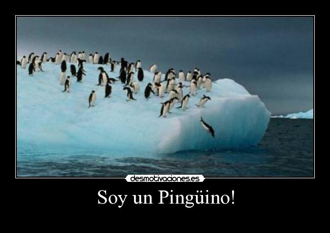 Soy un Pingüino! -