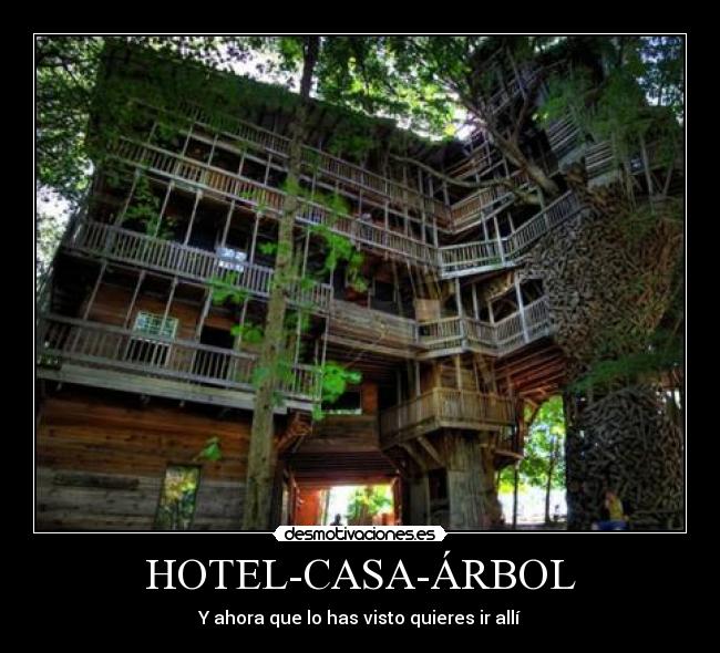 HOTEL-CASA-ÁRBOL - 