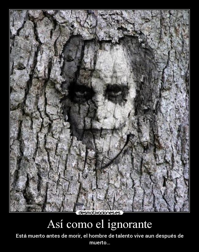 Así como el ignorante -
