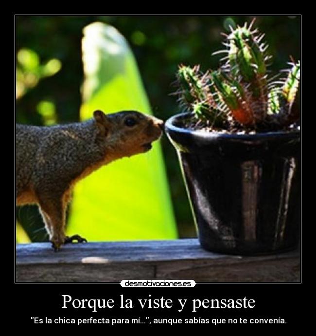 Porque la viste y pensaste -