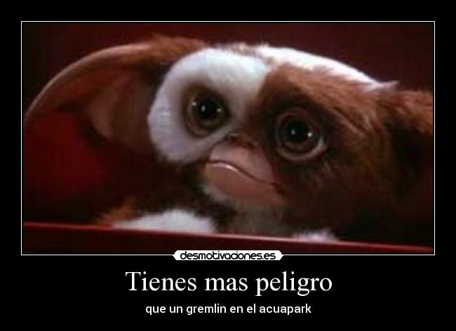 Tienes mas peligro - que un gremlin en el acuapark