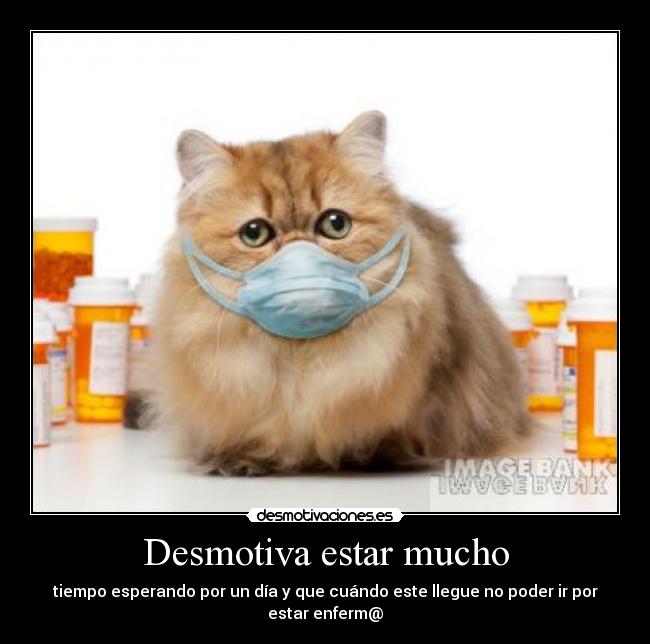 Desmotiva estar mucho -