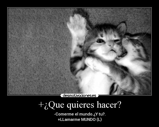 +¿Que quieres hacer? -