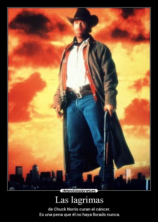 Las lagrimas - de Chuck Norris curan el cáncer.
 Es una pena que él no haya llorado nunca.
