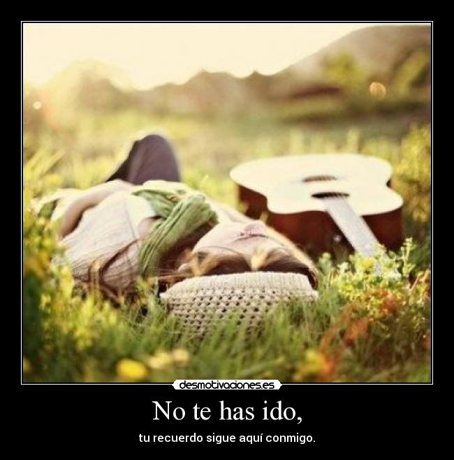No te has ido, -