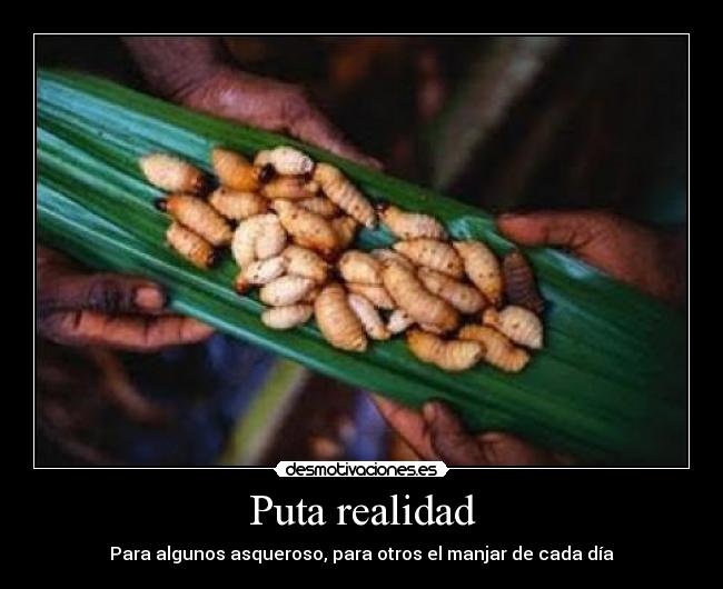 Puta realidad - Para algunos asqueroso, para otros el manjar de cada día