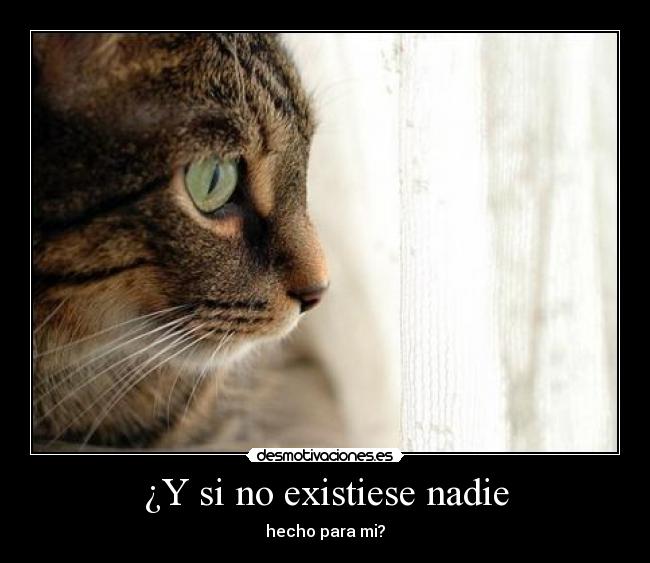 ¿Y si no existiese nadie - hecho para mi?