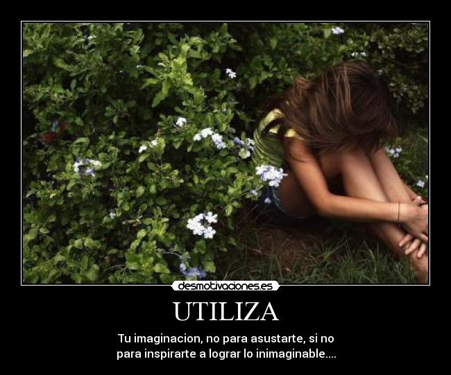 UTILIZA - 