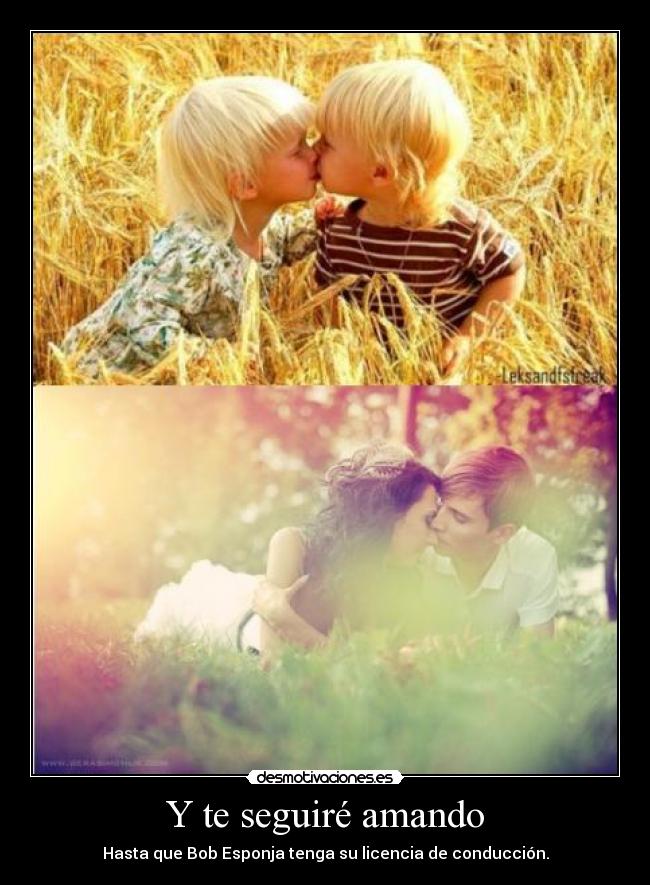 Y te seguiré amando -