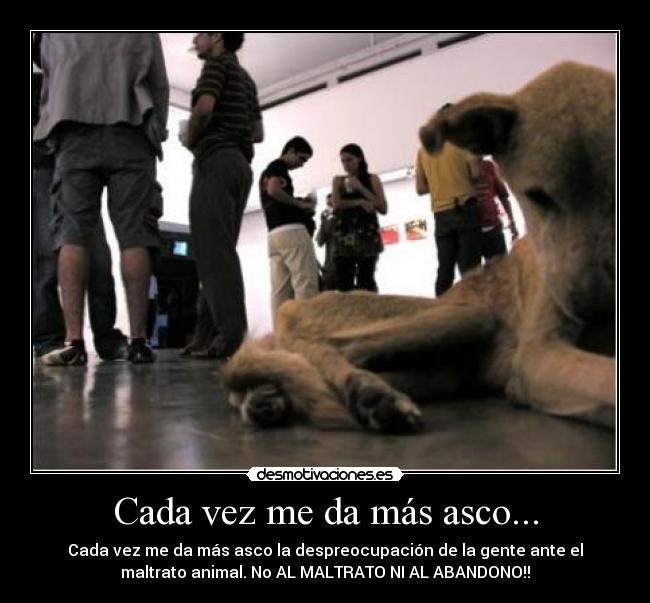 Cada vez me da más asco... - Cada vez me da más asco la despreocupación de la gente ante el
maltrato animal. No AL MALTRATO NI AL ABANDONO!!