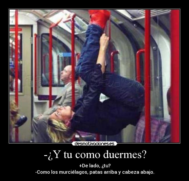 -¿Y tu como duermes? - +De lado, ¿tu?
-Como los murciélagos, patas arriba y cabeza abajo.