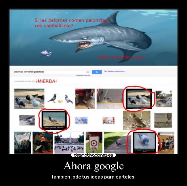 carteles ichbinderhaifisch desmotivaciones