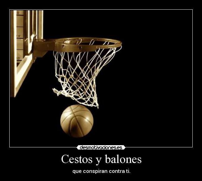 Cestos y balones -
