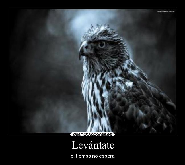 Levántate - el tiempo no espera
