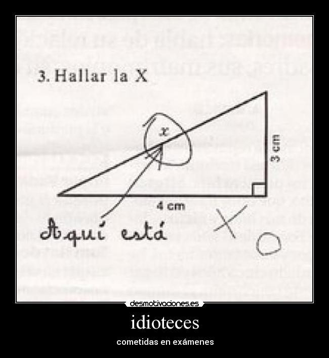 idioteces - cometidas en exámenes