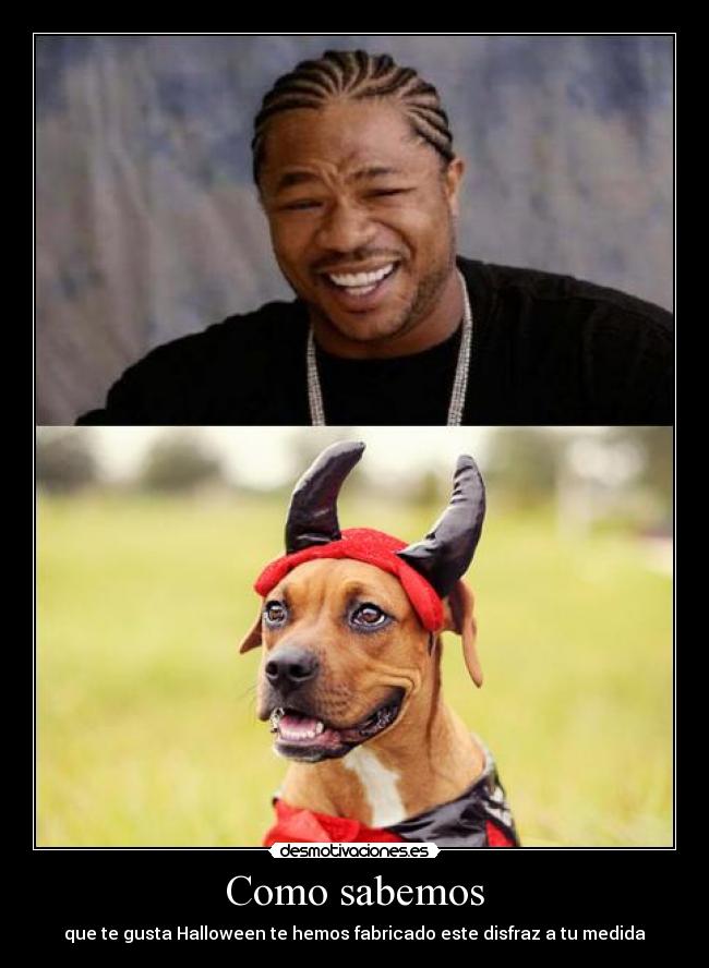 Como sabemos - que te gusta Halloween te hemos fabricado este disfraz a tu medida