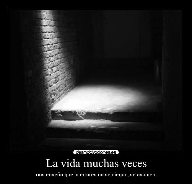 La vida muchas veces - 