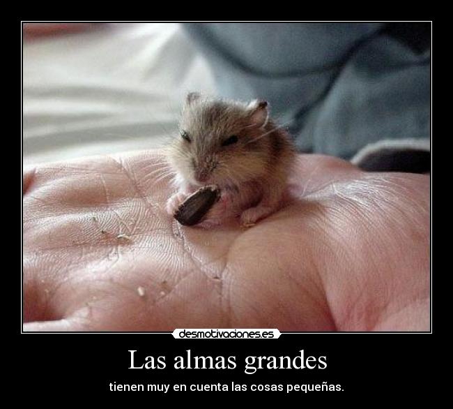 Las almas grandes - tienen muy en cuenta las cosas pequeñas.