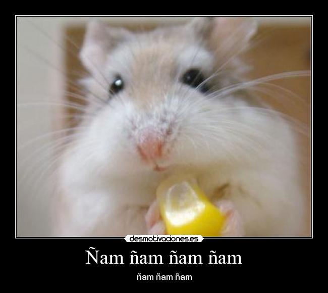 Ñam ñam ñam ñam -