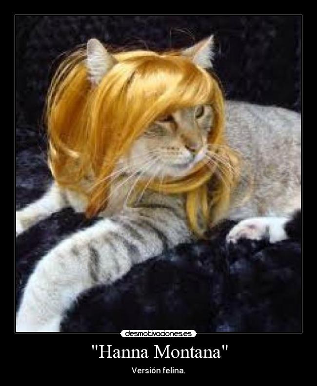 Hanna Montana - Versión felina.