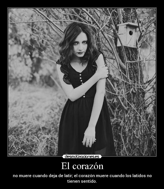 El corazón -