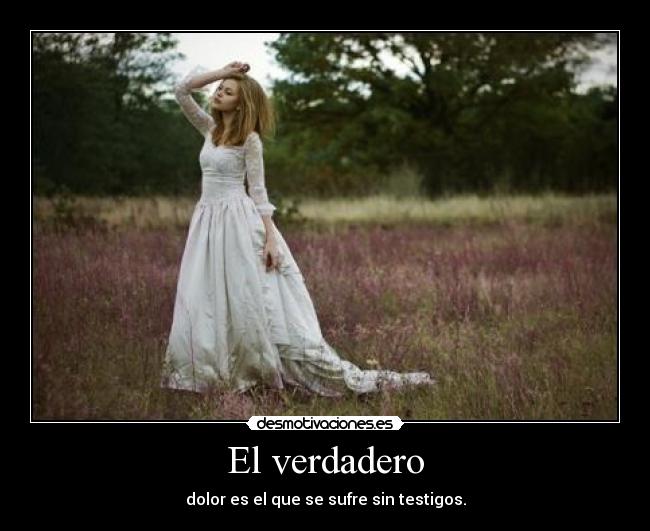 carteles adoroestaimagenodiolasetiquetasyporesopongoasiestookxd desmotivaciones